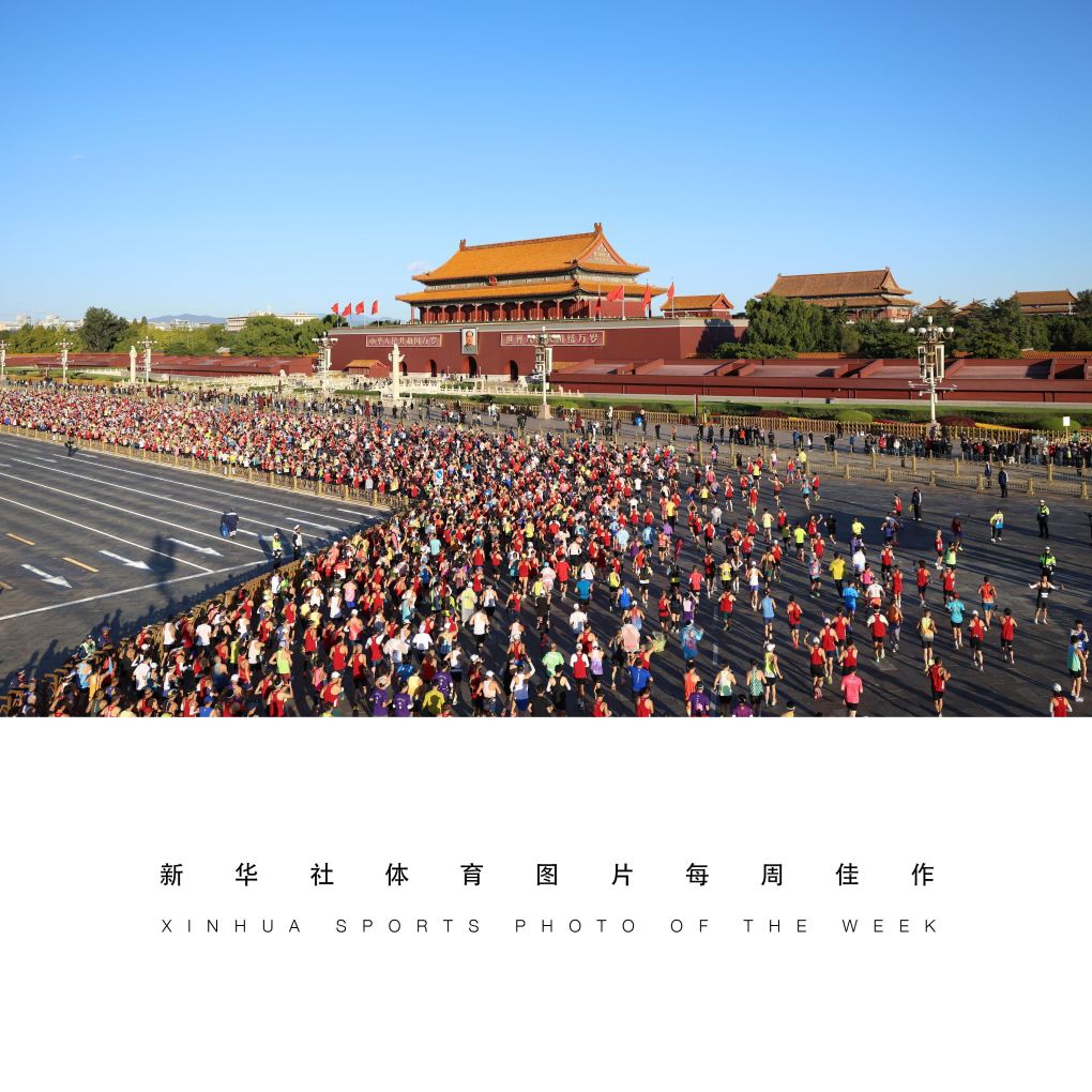 1xbet详情图