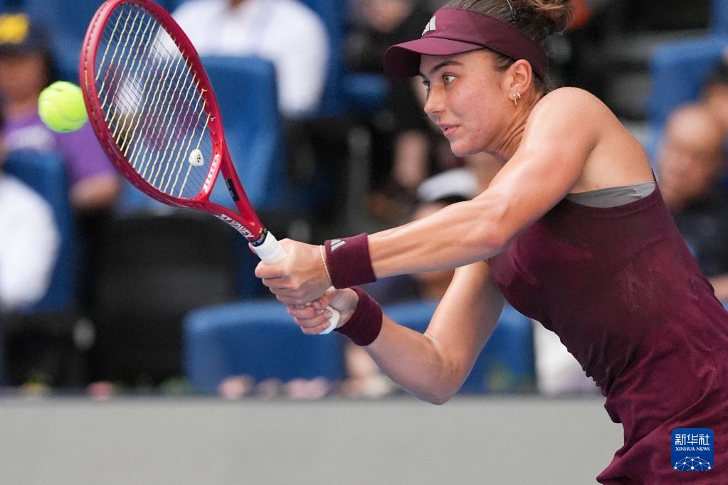 1xbet图片展示