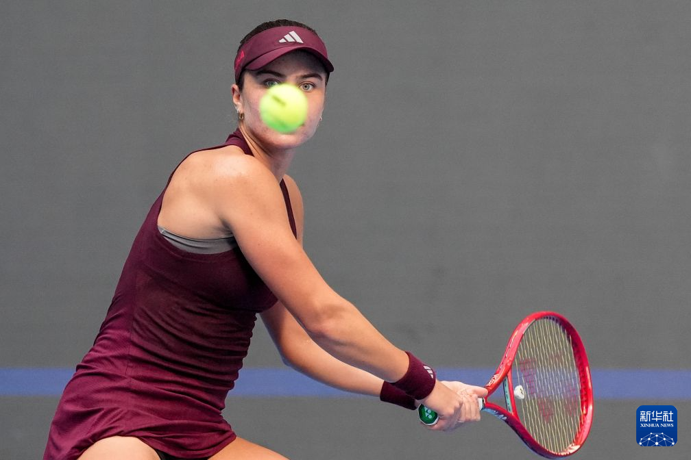了解1xbet